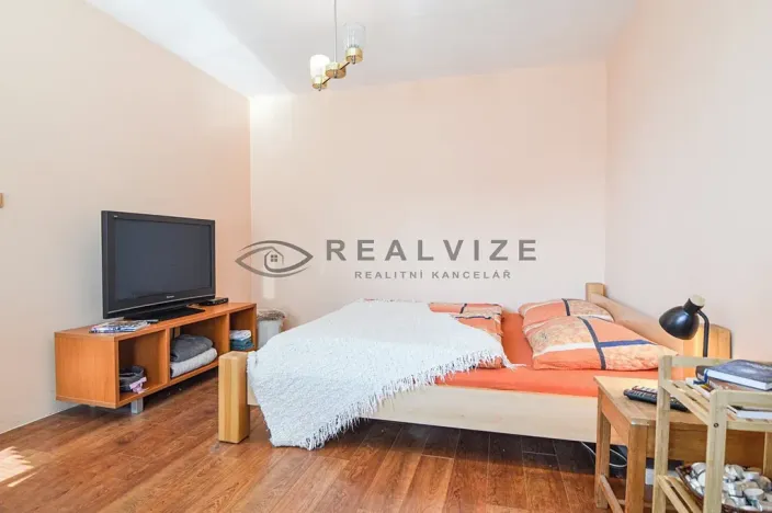 Prodej bytu 1+1, České Budějovice, Větrná, 38 m2