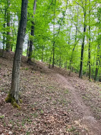 Prodej chaty, Kaliště, 30 m2