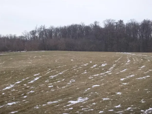 Dražba pole, Nová Sídla, 66956 m2