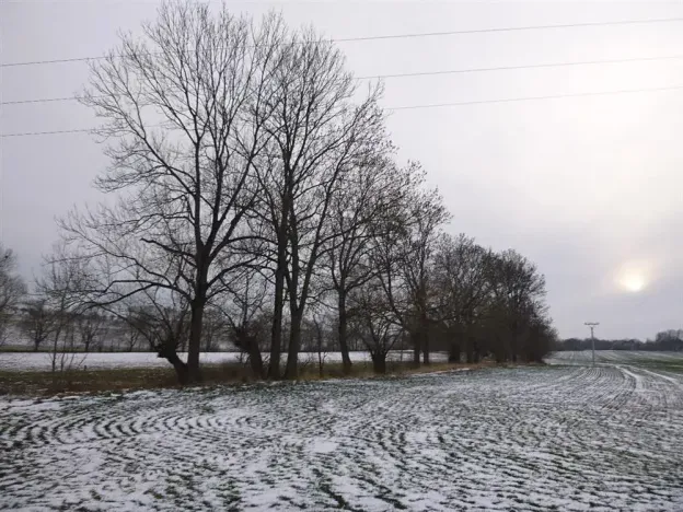 Dražba pole, Nová Sídla, 66956 m2