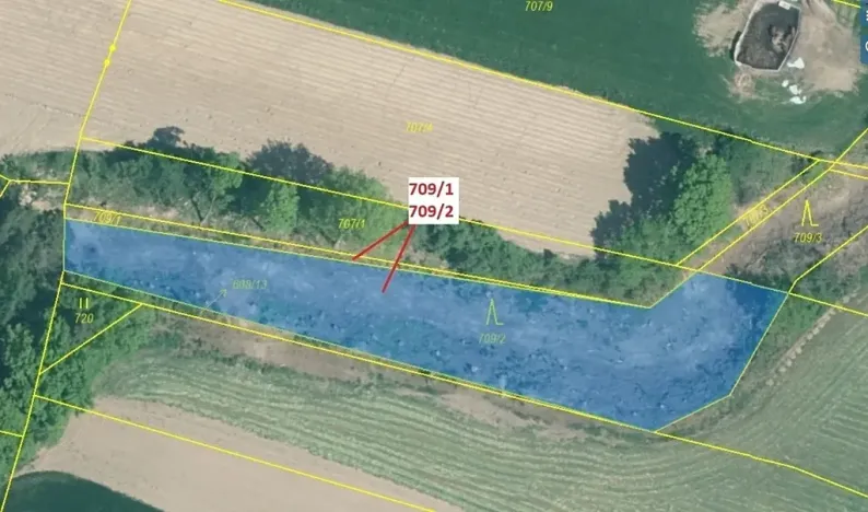 Dražba lesa, Osek, 1823 m2