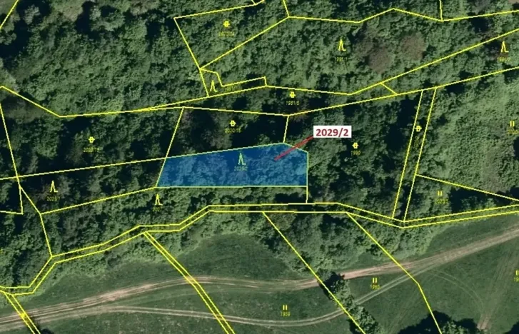 Dražba lesa, Hovězí, 788 m2