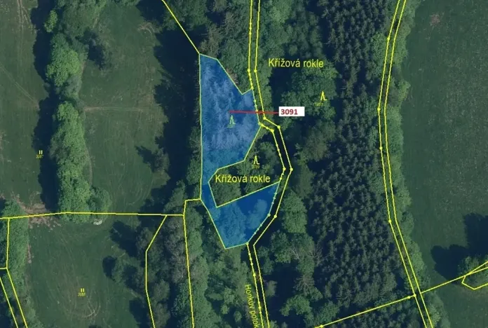 Dražba lesa, Benešov u Semil, 1964 m2