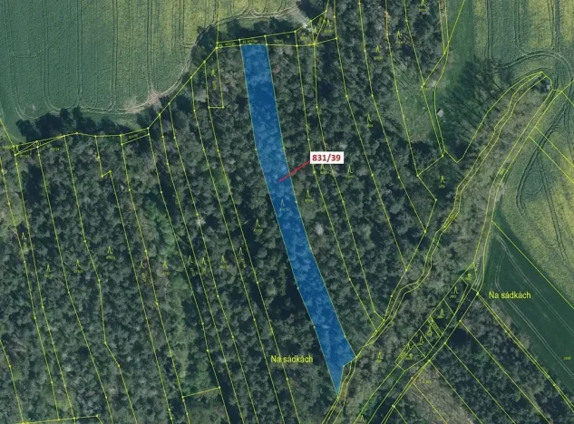 Dražba lesa, Koloveč, 3368 m2