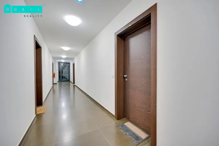 Pronájem bytu 2+kk, Olomouc - Nová Ulice, Třída Jiřího Pelikána, 53 m2