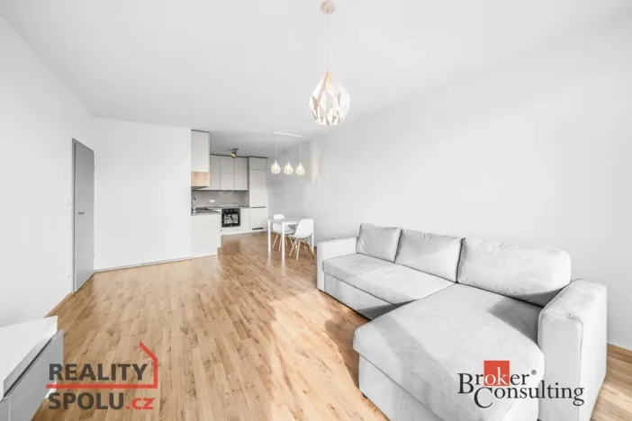 Pronájem bytu 2+kk, Plzeň - Jižní Předměstí, Železná, 60 m2