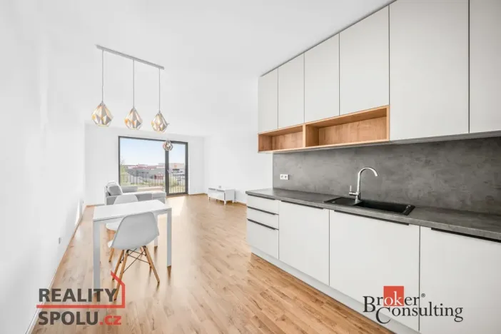 Pronájem bytu 2+kk, Plzeň - Jižní Předměstí, Železná, 60 m2