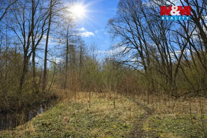 Prodej lesa, Snědovice - Střížovice, 2037 m2