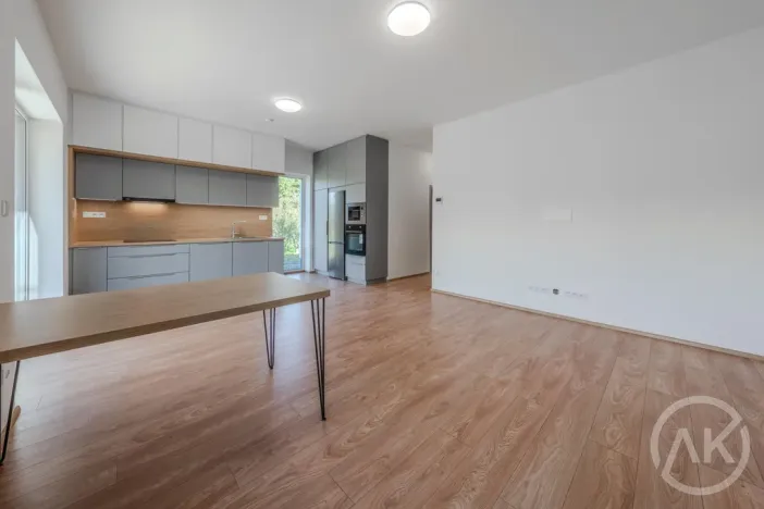 Pronájem bytu 1+kk, Bravantice, 39 m2