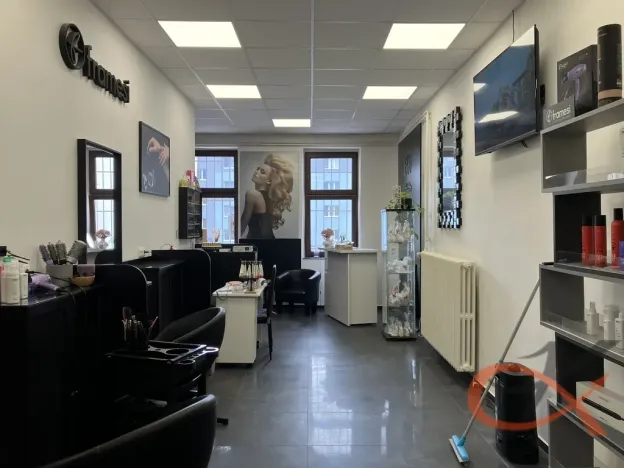 Prodej obchodního prostoru, Prostějov, Tylova, 2433 m2