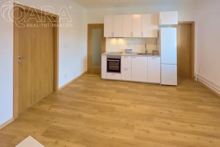 Pronájem bytu 3+kk, Praha - Vinohrady, Nad Primaskou, 56 m2