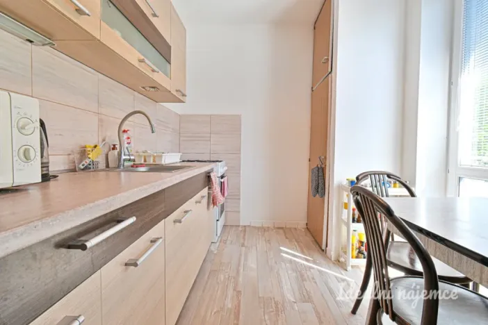 Pronájem bytu 2+1, Brno - Staré Brno, Úvoz, 55 m2