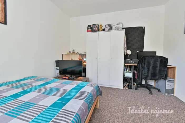 Pronájem bytu 2+1, Brno - Staré Brno, Úvoz, 55 m2