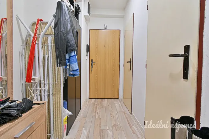 Pronájem bytu 2+1, Brno - Staré Brno, Úvoz, 55 m2