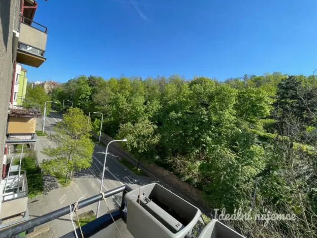 Pronájem bytu 2+1, Brno - Staré Brno, Úvoz, 55 m2