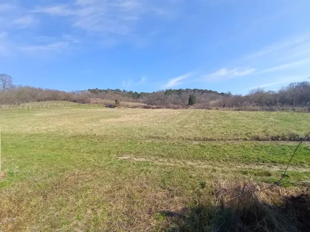 Prodej zahrady, Mikulov, Nová, 520 m2