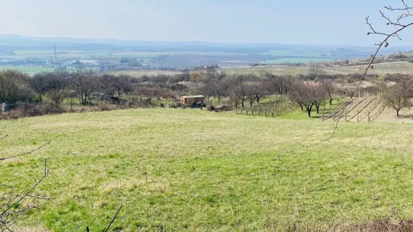 Prodej zahrady, Mikulov, Nová, 520 m2