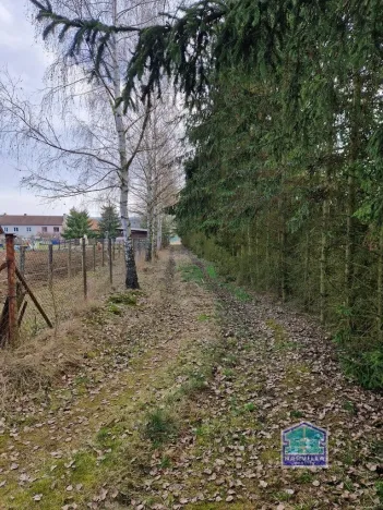 Prodej rodinného domu, Vranov - Svinná, 1279 m2