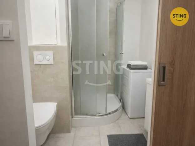 Pronájem bytu 1+kk, Ostrava, Francouzská, 27 m2