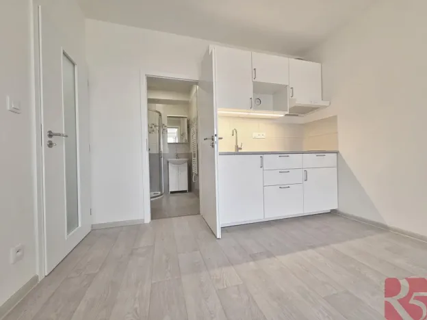 Pronájem bytu 1+kk, Praha - Nusle, Sdružení, 28 m2