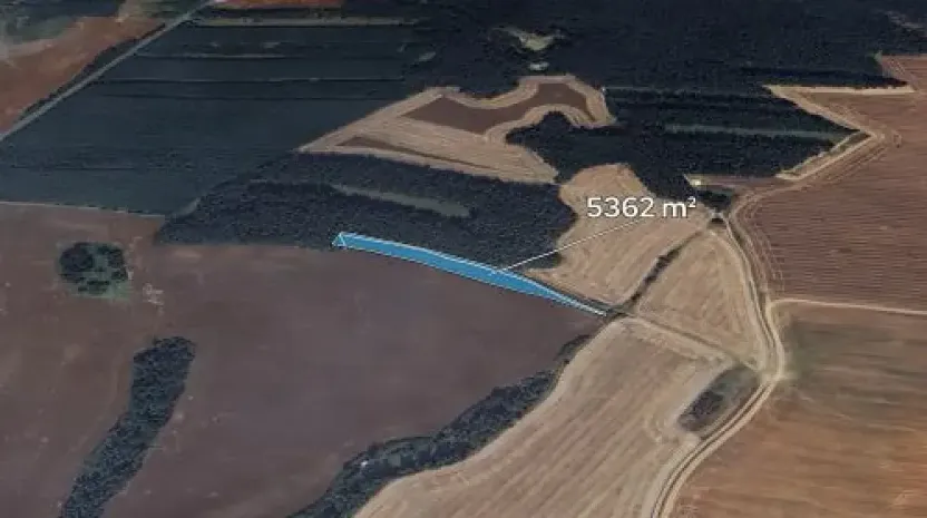 Prodej pole, Loza, 5362 m2