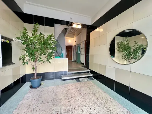 Pronájem bytu 2+1, Brno, Kotlářská, 53 m2