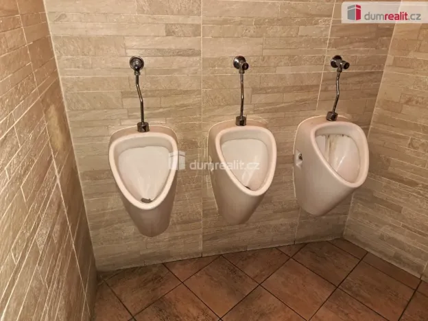 Prodej obchodního prostoru, Ústí nad Labem - Ústí nad Labem-centrum, Masarykova, 126 m2