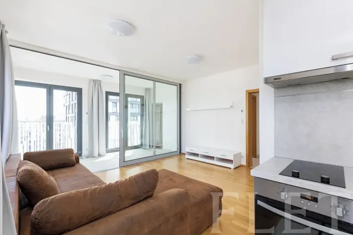 Pronájem bytu 2+kk, Praha - Žižkov, Olšanská, 56 m2