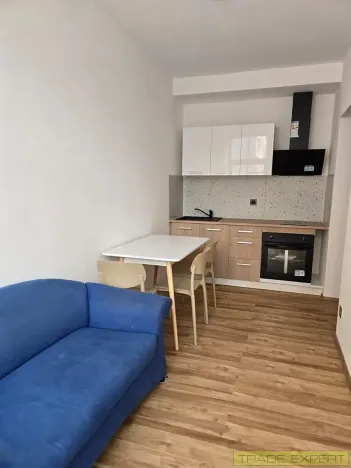 Pronájem bytu 1+1, Praha - Braník, Mezivrší, 55 m2