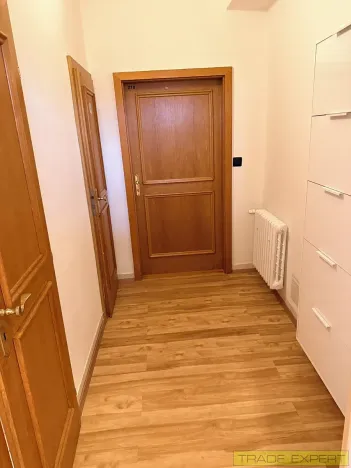 Pronájem bytu 1+1, Praha - Braník, Mezivrší, 55 m2