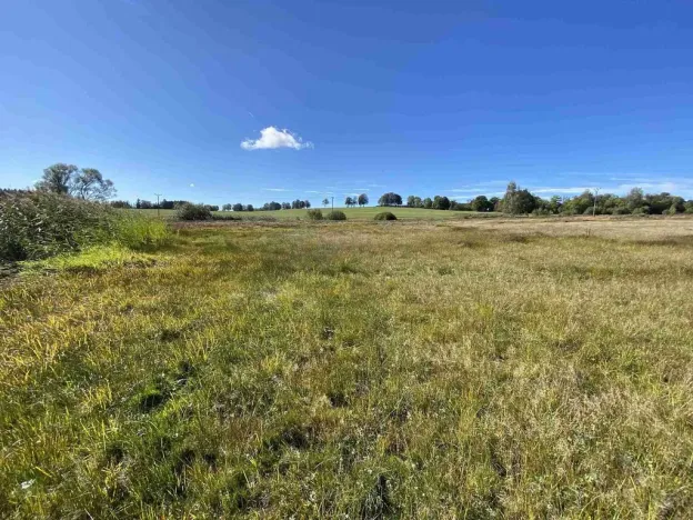 Prodej pole, Nový Rychnov - Čejkov, 4706 m2