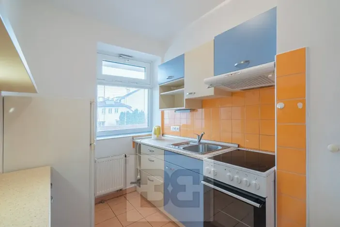 Pronájem bytu 1+1, České Budějovice, 51 m2