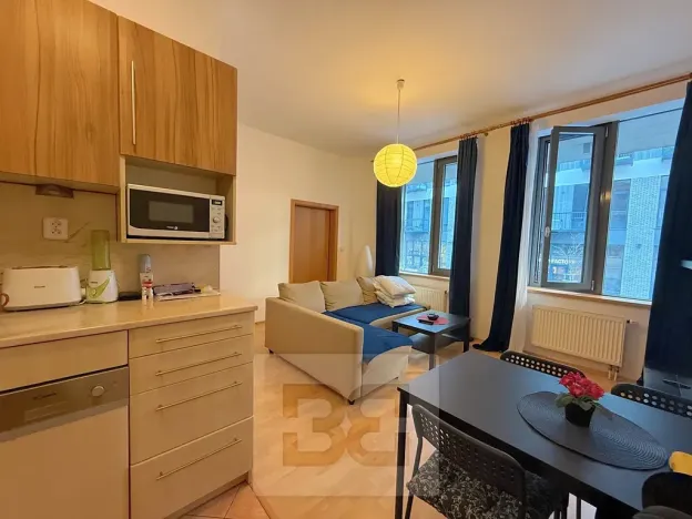 Pronájem bytu 2+kk, Praha - Holešovice, V háji, 44 m2