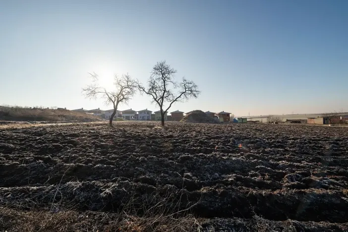 Prodej pozemku pro bydlení, Syrovice, 624 m2