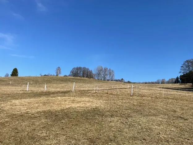 Prodej zemědělské usedlosti, Jeseník, 180 m2