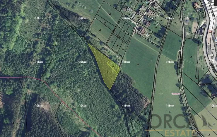 Prodej podílu lesa, Ústí nad Orlicí, 2174 m2