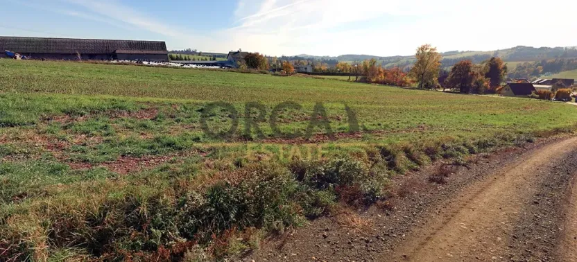 Prodej pole, Libštát, 3233 m2