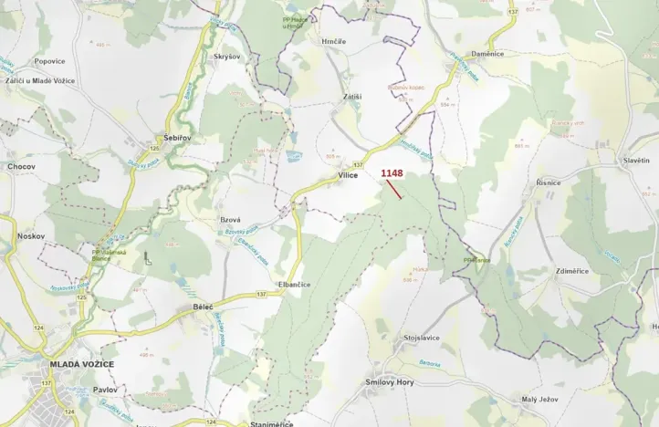 Dražba lesa, Vilice, 1105 m2