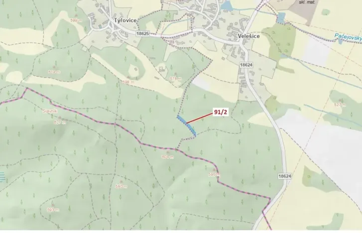 Dražba lesa, Pačejov, 1363 m2