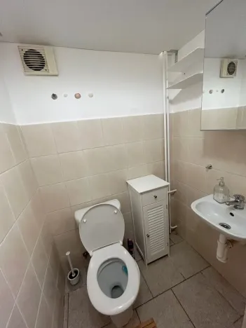Pronájem bytu 1+1, Praha - Braník, Branická, 28 m2