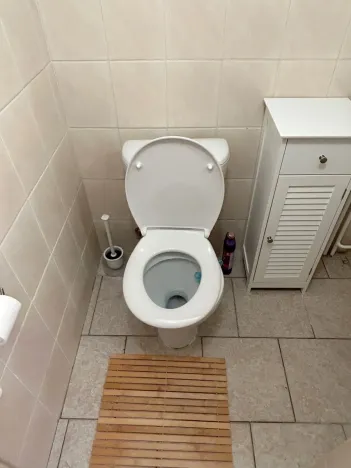 Pronájem bytu 1+1, Praha - Braník, Branická, 28 m2