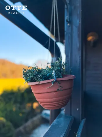 Prodej chaty, Plzeň, K Jezírku, 55 m2