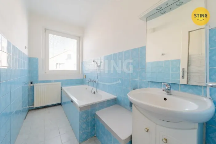 Prodej rodinného domu, Třeština, 180 m2