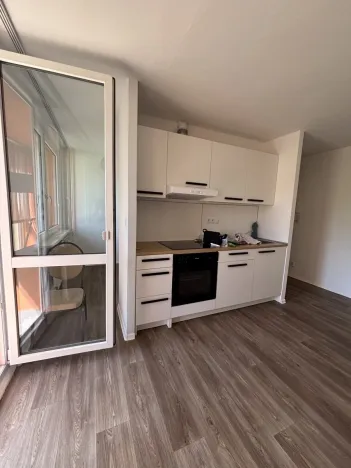 Pronájem bytu 1+kk, Pardubice, Lidická, 30 m2