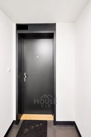 Prodej bytu 1+kk, Praha - Žižkov, Hartigova, 45 m2