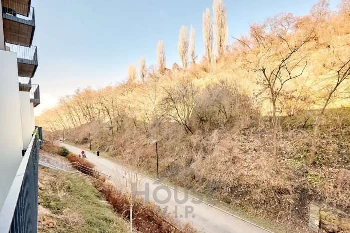 Prodej bytu 1+kk, Praha - Žižkov, Hartigova, 45 m2