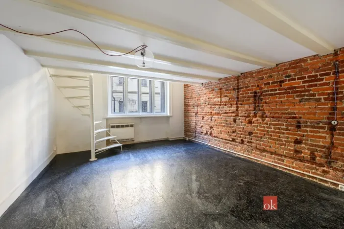 Prodej bytu 3+kk, Praha - Staré Město, U milosrdných, 73 m2