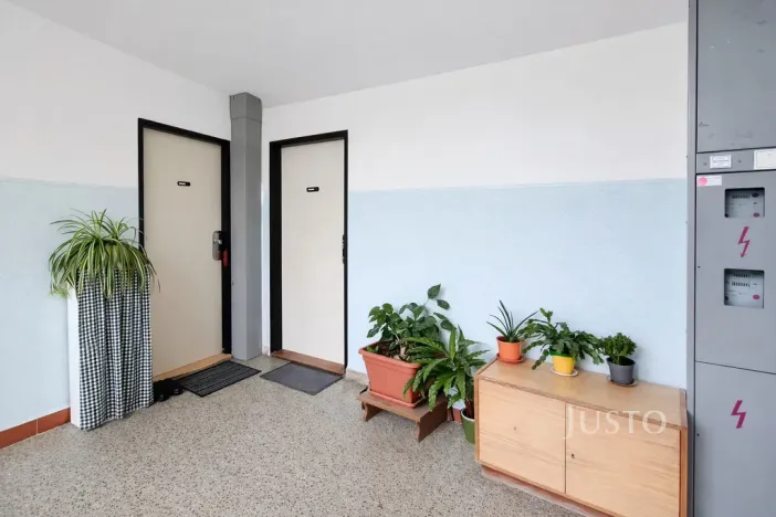 Prodej bytu 1+1, Písek - Budějovické Předměstí, třída Přátelství, 38 m2