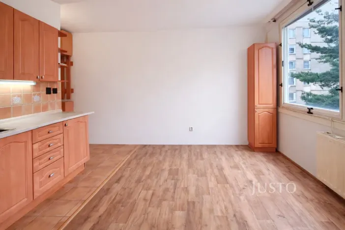 Prodej bytu 1+1, Písek - Budějovické Předměstí, třída Přátelství, 38 m2