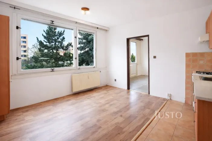 Prodej bytu 1+1, Písek - Budějovické Předměstí, třída Přátelství, 38 m2